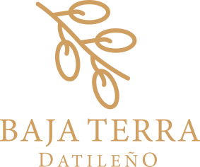 cliente-bajaterra-datileño